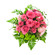 розовые розы с хризантемами. Турция